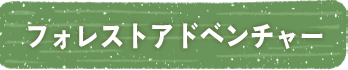 フォレストアドベンチャー