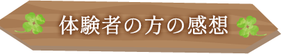 体験者の方の感想